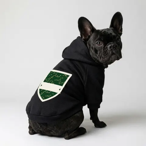 Holiday String Lights on Green Pet Hoodie