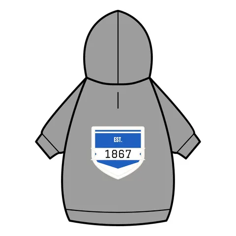 Saint Augustine's 1867 Blue & White Pet Hoodie — back_dtf view