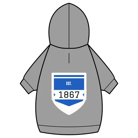Saint Augustine's 1867 Blue & White Pet Hoodie — back_dtf view