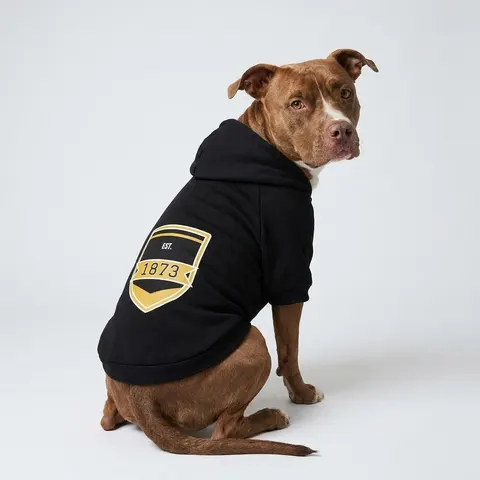 UAPB 1873 Black & Gold Arc Pattern
