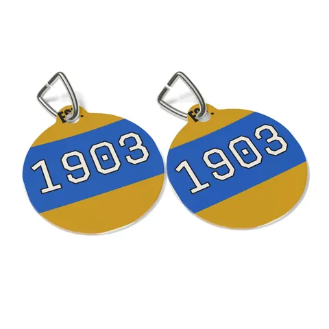 Albany State 1903 Blue & Gold Sunburst Pet Tag — other view