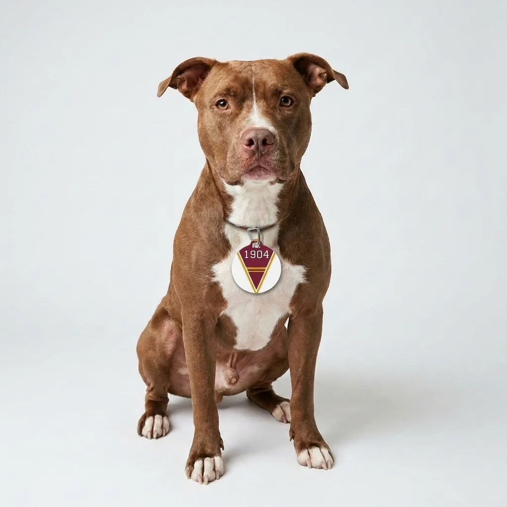 Bethune-Cookman 1904 Maroon & Gold Pet Tag — lifestyle view