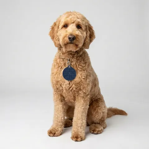 Inglewood Runway Lights Pet Tag
