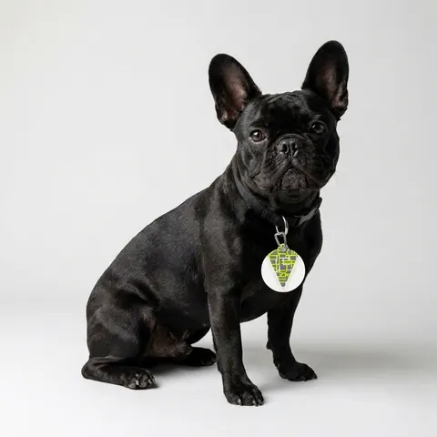 Queens South Jamaica Grid Pet Tag