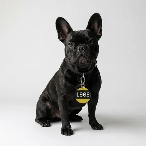 Alpha 1906 Black & Old Gold Pet Tag