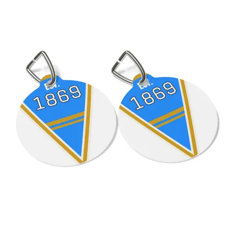 Dillard 1869 Azure & Gold Grid Pet Tag — other view
