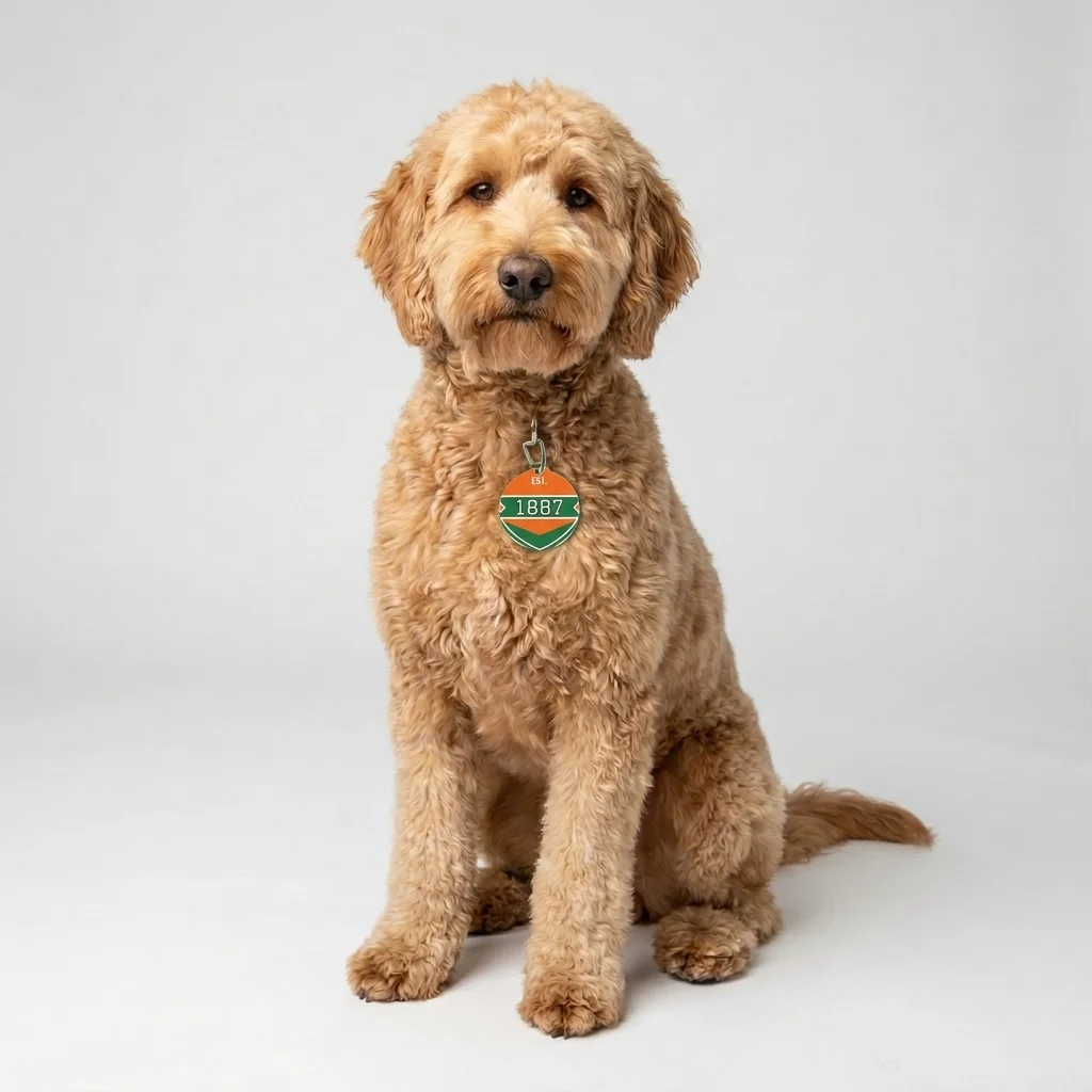 FAMU 1887 Orange & Green Energy Pet Tag — lifestyle view