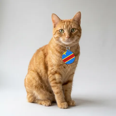 DR Congo Sky Blue & Red Diagonal Pet Tag
