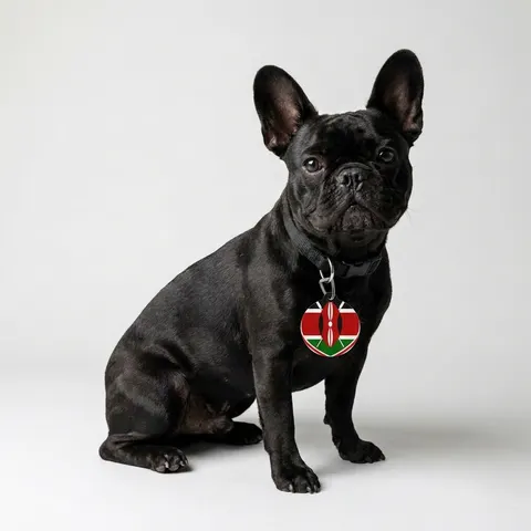 Kenya Black Red Green Stripes Pet Tag