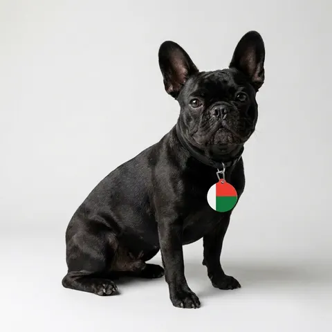 Madagascar White Red Green