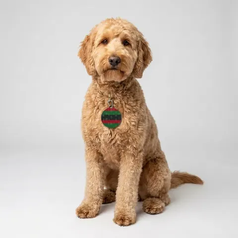 Holiday Kwanzaa Karamu Colors Pet Tag