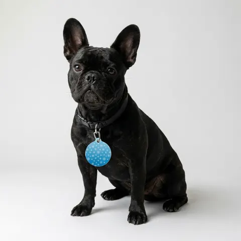Holiday Snowflake All-Over Pet Tag