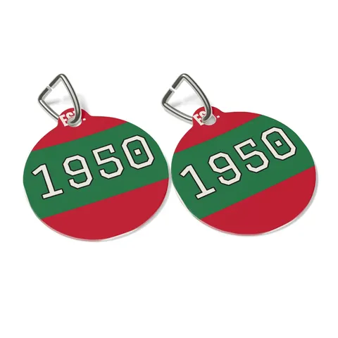 Mississippi Valley State 1950 Green & Red Pet Tag — other view
