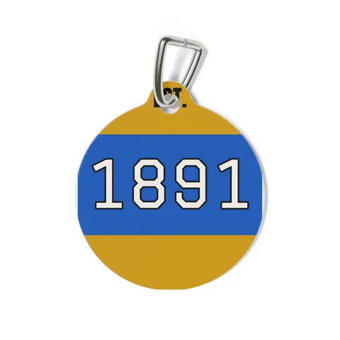 NC A&T 1891 Blue & Gold Tech Pattern Pet Tag — back view