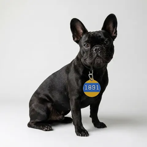 NC A&T 1891 Blue & Gold Tech Pattern Pet Tag