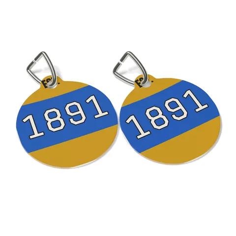 NC A&T 1891 Blue & Gold Tech Pattern Pet Tag — other view