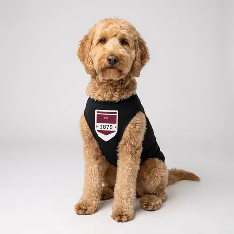 Alabama A&M 1875 Maroon & White