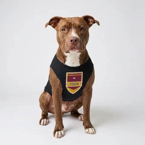 Bethune-Cookman 1904 Maroon & Gold Pet Tank Top