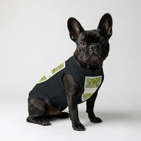 Queens South Jamaica Grid Pet Tank Top