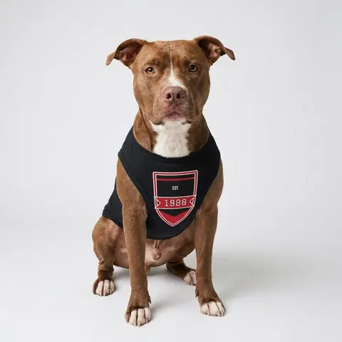 Clark Atlanta 1988 Black & Red Arch Pet Tank Top