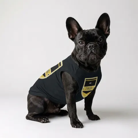 Alpha 1906 Black & Old Gold Pet Tank Top