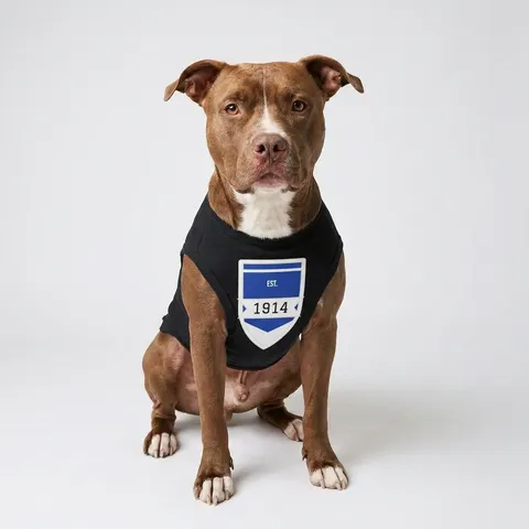Sigma 1914 Royal Blue & White Pet Tank Top
