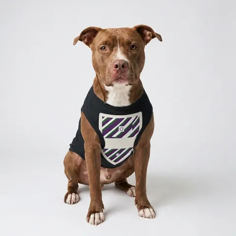 Faith Flag AME-Inspired Purple & Green Pet Tank Top