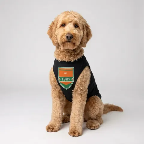 FAMU 1887 Orange & Green Energy Pet Tank Top