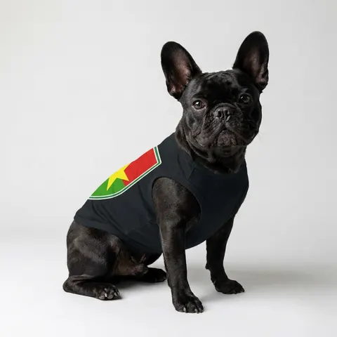 Burkina Faso Red Green Star