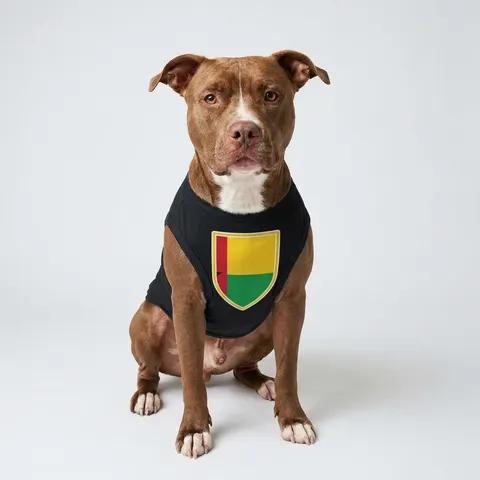 Guinea-Bissau Red Yellow Green Star
