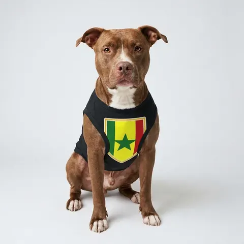 Senegal Green Yellow Red Pet Tank Top