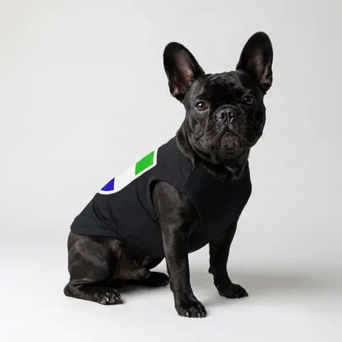 Sierra Leone Green White Blue Pet Tank Top