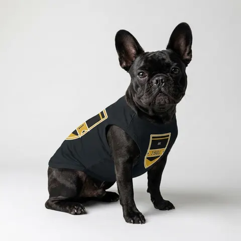 Grambling 1901 Black & Gold Edge Pet Tank Top