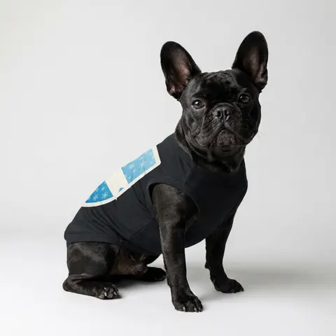 Holiday Snowflake All-Over Pet Tank Top