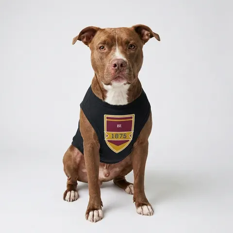 Huston-Tillotson 1875 Maroon & Gold