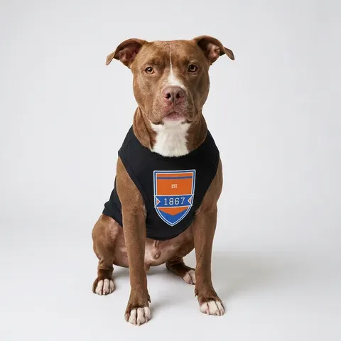 Morgan State 1867 Orange & Royal Pet Tank Top