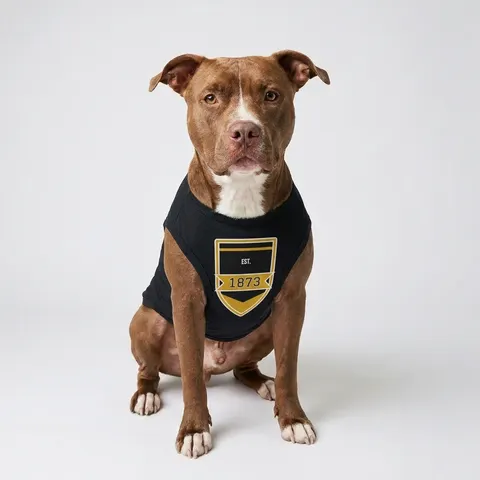 UAPB 1873 Black & Gold Arc Pattern