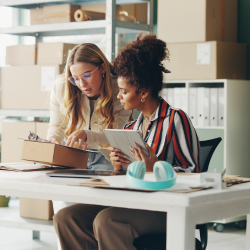 Psg portfolio plentyone background