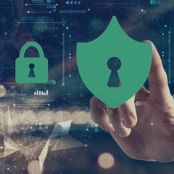 Psg portfolio hornet security2 background