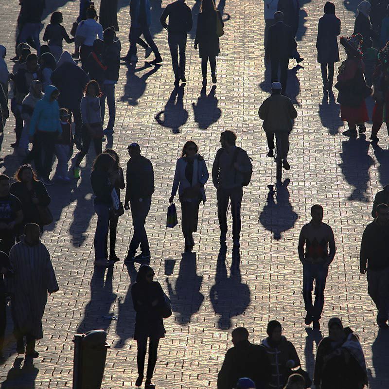 Vertical Knowledge PSG