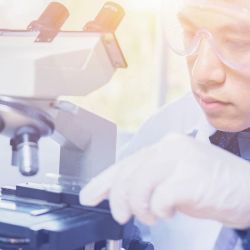 Psg portfolio anju background