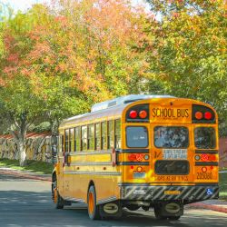 Psg portfolio School Status background
