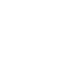 Psg portfoio sola logo