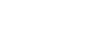 Hornet security logo