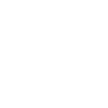 Psg portfolio preveil logo