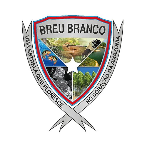 Prefeitura de Breu Branco