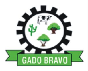 Prefeitura de Gado Bravo