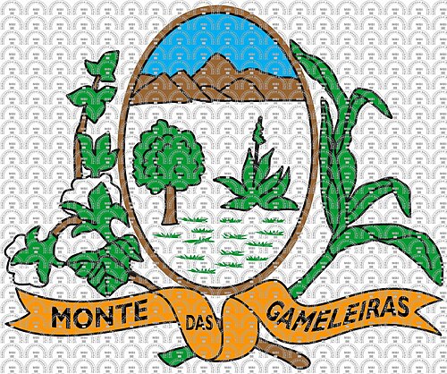 Prefeitura de Monte das Gameleiras