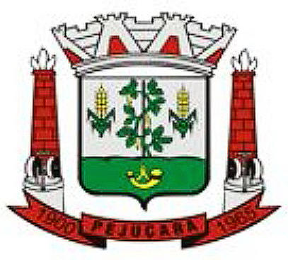 Prefeitura de Pejuçara