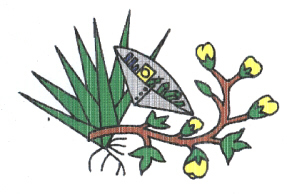 Prefeitura de Picuí